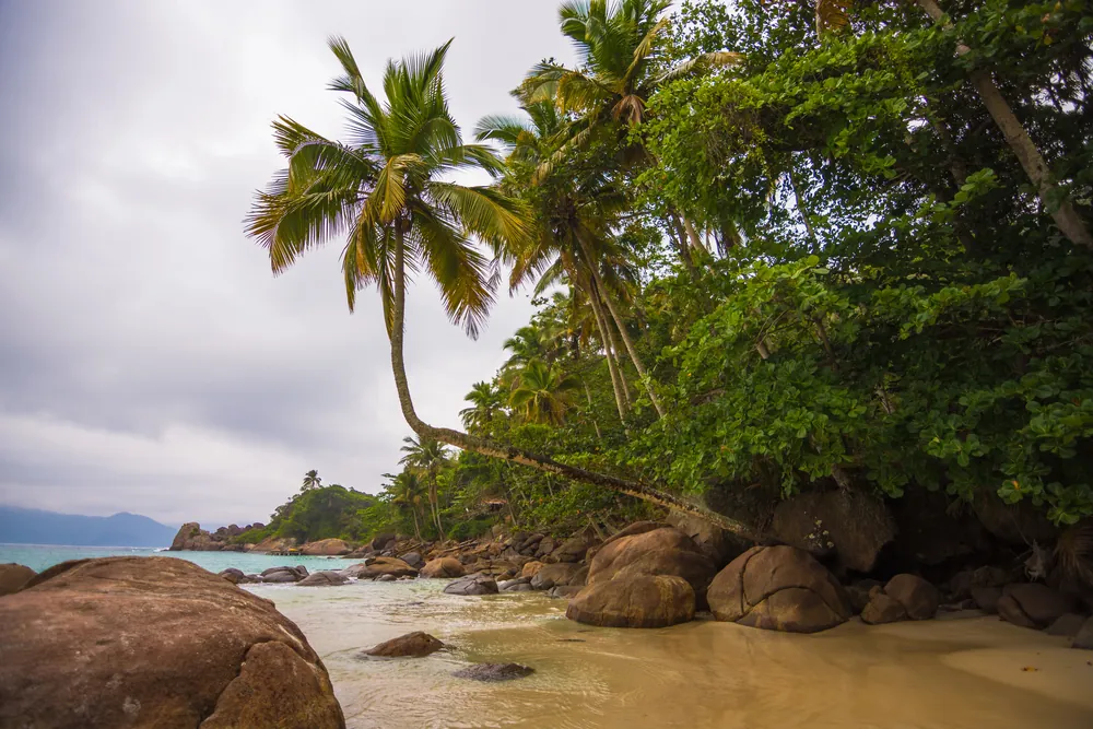 transfers от Иля Гранде